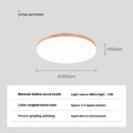 Kunshan Ceiling Light